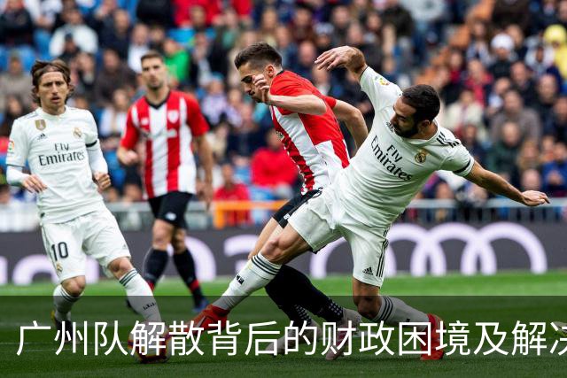广州队解散背后的财政困境及解决方案探讨